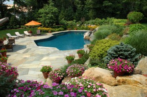 Putting fun in orange county landscape design one home at a time