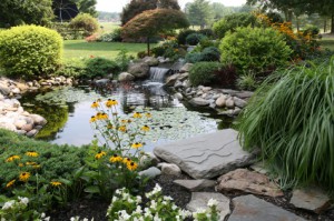 Villa park landscape design pool builder